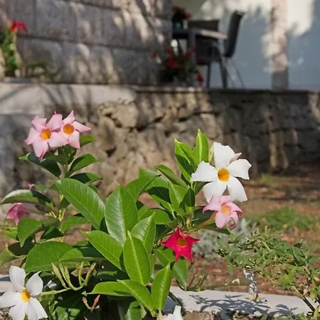 Seaside House For Families With Children Zrnovska Banja, Korcula - 20618 Zrnovo