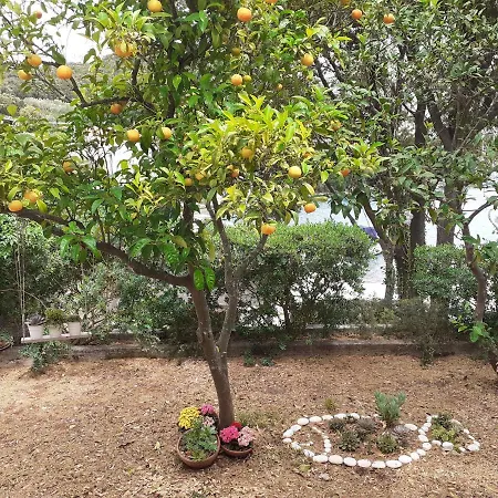 Holiday home Seaside House For Families With Children Zrnovska Banja, Korcula - 20618 Zrnovo