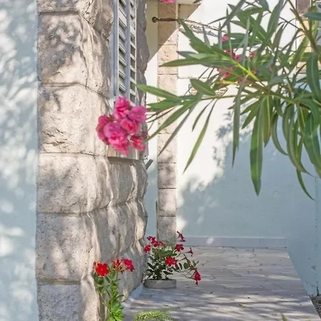 Seaside House For Families With Children Zrnovska Banja, Korcula - 20618 Prázdninový dům