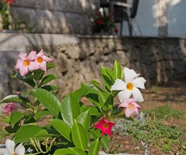 Seaside House For Families With Children Zrnovska Banja, Korcula - 20618 Zrnovo