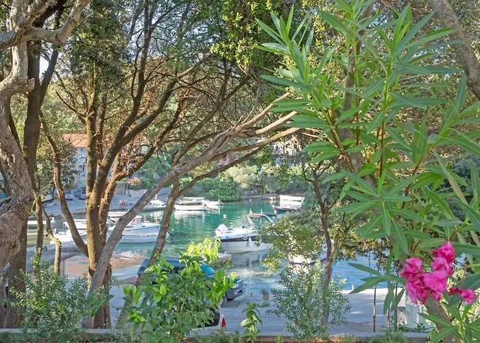 Tatil Evi Seaside House For Families With Children Zrnovska Banja, Korcula - 20618