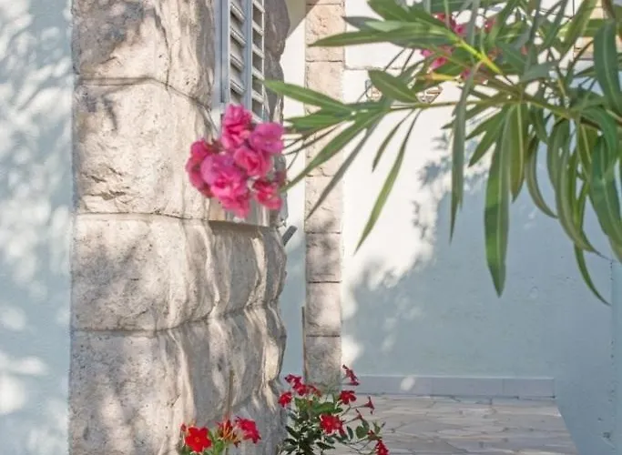 Seaside House For Families With Children Zrnovska Banja, Korcula - 20618 Tatil Evi